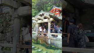 2022年盛夏【納涼動画】清水寺（京都）　Kiyomizu-dera(temple) in Kyoto, Japan