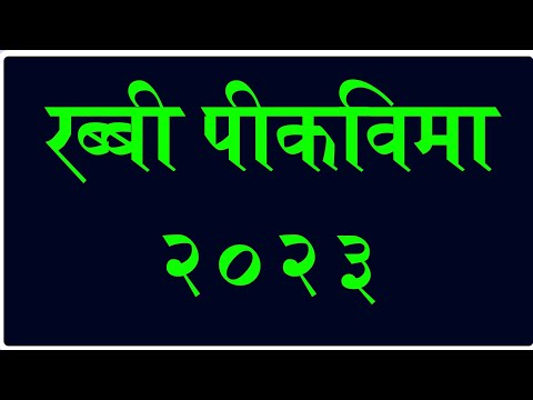 रब्बी पीक विमा २०२३ वाटप अपडेट || Rabbi pikvima