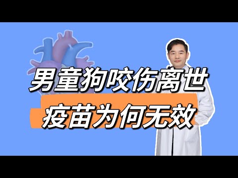 男童被狗咬伤18天后离世，狂犬疫苗为何没起到预防作用？