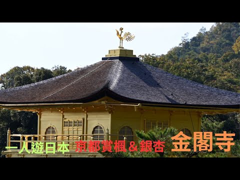 京都必去景點～～✨⚡️金閣寺✨⚡️, 金光閃閃地等著你們呢！記得打開CC字幕喔!