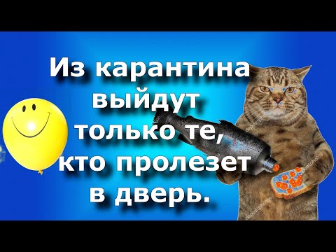 КАРАНТИН С ЮМОРОМ! Веселая самоизоляция!