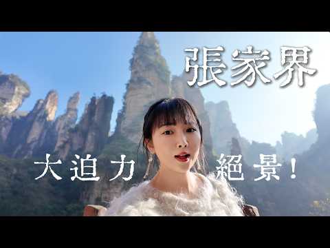 中国屈指の大迫力絶景【張家界VLOG】高所恐怖症はやめなさい