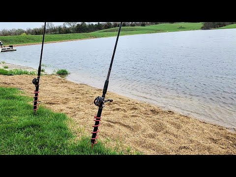 This is the BEST POND I've EVER FISHED!! (Weird Catch)