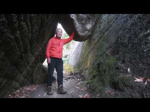 福山に遊ぶ