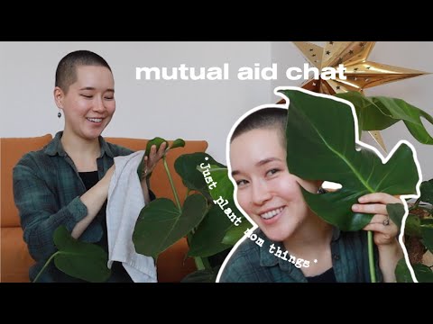 We Need To Talk About Mutual Aid - A Casual Chat While I Give My Plants A Sponge Bath