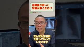 尿酸値が高いと腎臓がなぜ悪くなる？仕組み解説_高尿酸血症_相模原内科