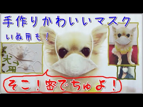 そこ！密でちゅよ！🐶手作り可愛い大きい立体マスクを作る！犬用も！✨無料ユザワヤ型紙ダウンロード＃小池都知事#作り方💗DIY mask free pattern💗making 🐶dog mask