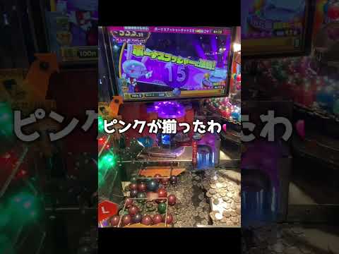 様子がおかしいホリアテール #メダルゲーム #ゲーセンキツネ