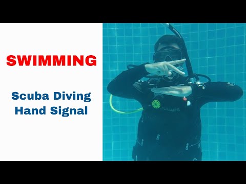 Swimming - Scuba Diving Hand Signal