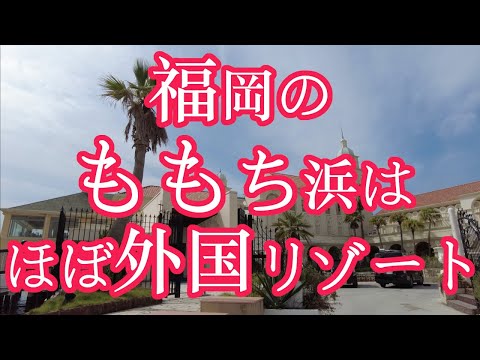 【福岡のももち浜はほぼ外国リゾート】百道浜　海浜公園　福岡市立図書館　福岡観光