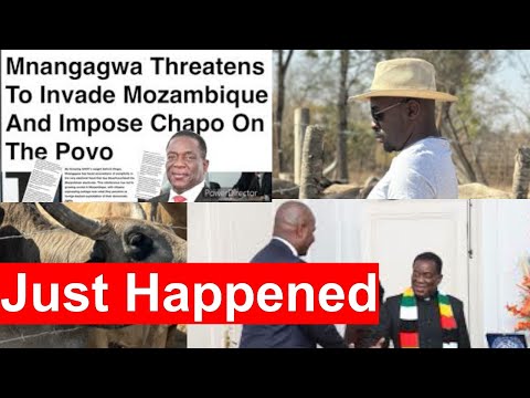 LIVE , Mangagwa Latest Interview, Daniel Chapo Makes Appearance, Chamisa Abaka Machisa Achamisa