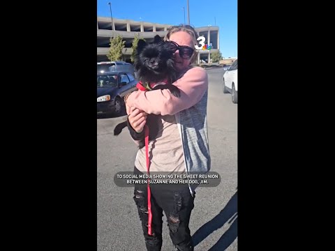 Woman reunites with pets after fiery motorhome crash on I-15