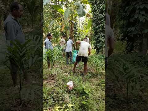 Tikrikilla songniko Sam Namgijako Bile kaengjok