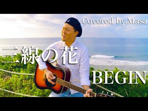 BEGIN - 三線の花 (Covered by.Masa)