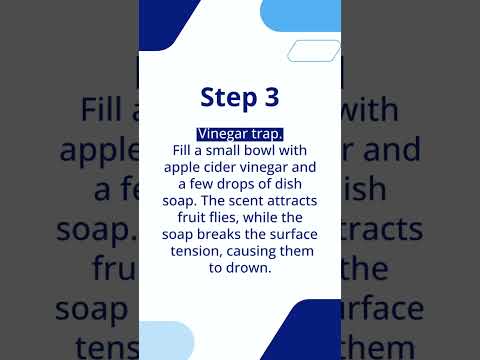 How to Get Rid of Fruit Flies in The House