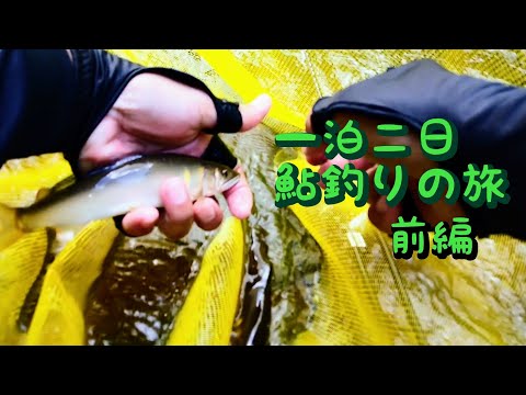 鮎釣りの旅  今年も古座川上流七川へ【前編】