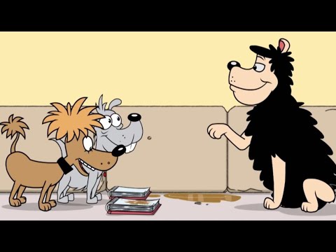 Gnasher is Famous | Funny Episodes | Dennis and Gnasher