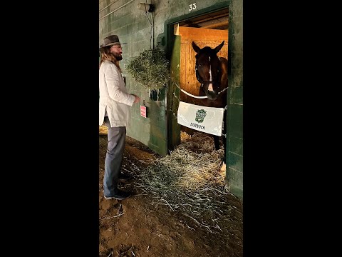 World Series Champ Turned Horse Race Enthusiast