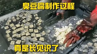 臭豆腐制作过程，真是长见识了