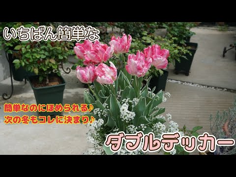 一番簡単なダブルデッカー🌷【2021年版】