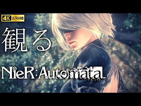 【観るゲーム】NieR : Automata/日本語音声・日本語字幕