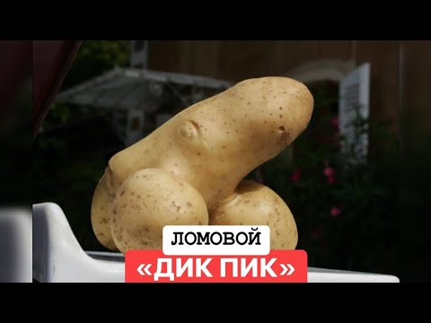 ЛОМОВОЙ - Дикпик