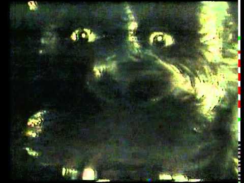 wcbs the horror show promo 1979