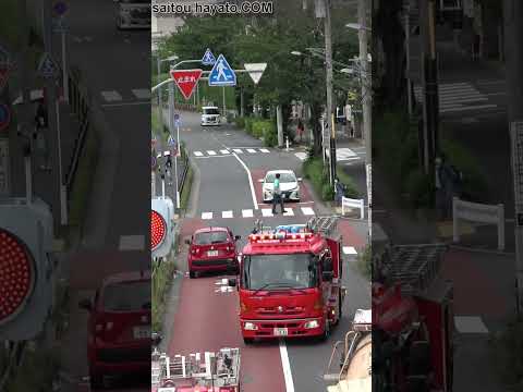 【緊急走行】ガンバレ消防車!!Fire truck, fight on!!#shorts