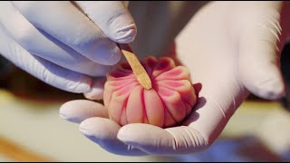 Handmade Candy Art Making - Wagashi - Japanese Traditional Confectionery