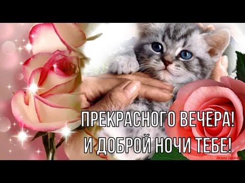 Доброго Вечера и Сладкой Ночи тебе Желаю! Красивое Музыкальное Пожелание Доброй и Спокойной Ночи!