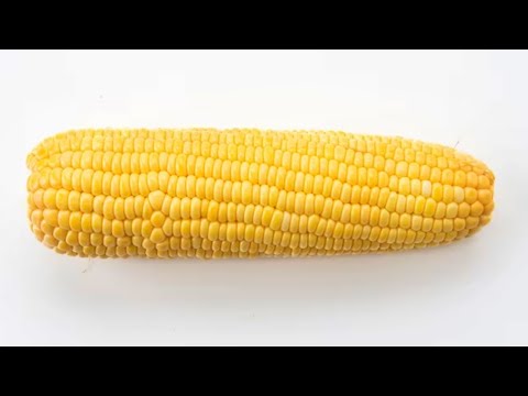 【HANDCAM】Corn