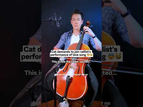 This won’t end well 😳 Cat joins cellist during performance… is he getting kicked out? #cello #cats