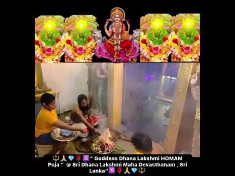 Goddess Dhana Lakshmi HOMAM #god #lakshmi #dhanalakshmi #laxmipuja