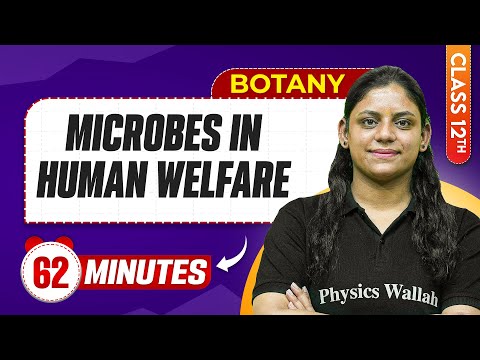 Microbes In Human Welfare in 62 Minutes | Class 12th Botany | Mind Map Series