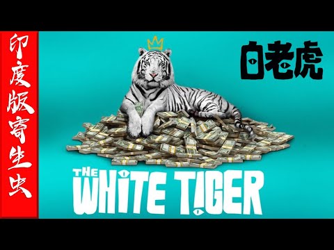 白老虎 : 印度版 寄生虫 || The White Tiger 2021 Movie Review || 韩国寄生上流