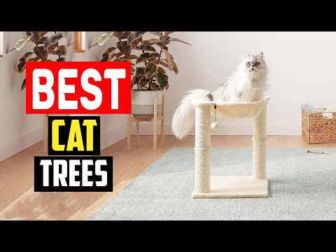 ✅Best Cat Trees in 2023