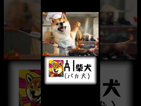 AI柴犬（バカ犬） #shorts