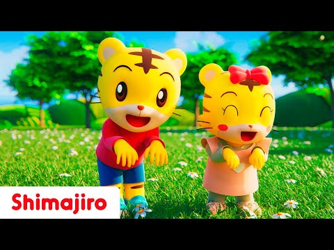 Let’s dance like the bunny! 🐰✨🎵 | Celebrating Easter with Shimajiro | Nursery Rhymes