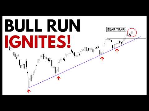 Technical Analysis of Stocks: SPY / QQQ / NVDA / TSLA / AMD / PLTR / MU / AVGO / SOFI