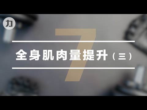 【Day7】全身肌肉量提升（三）