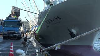 銚子漁港　第二　日曜日も水揚げ