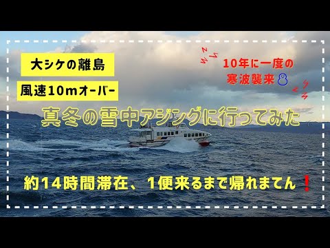 真冬の雪中アジングに行ってみた　大シケの離島　風速10m越え❗