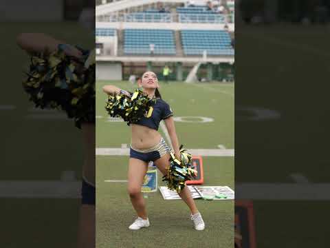 2024/09 All Mitsubishi Lions Cheerleaders #cheerleader