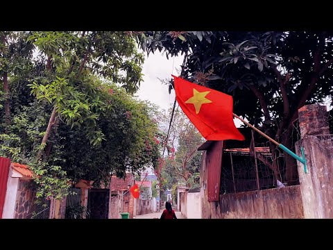 a countryside in Vietnam / let me bring you to my roots, my begin