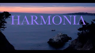 HARMONIA (pt. 2) | cinematic video | SonyA7CII