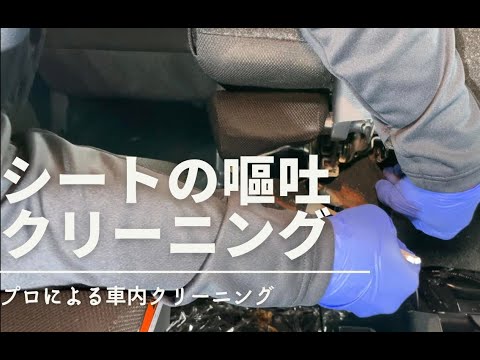 シートの嘔吐クリーニング