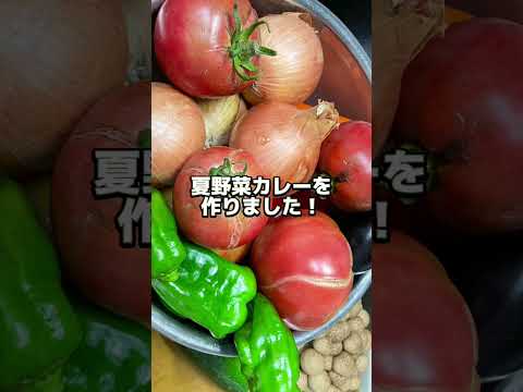 傷が入ったトマトで無水夏野菜カレー🍅🍛