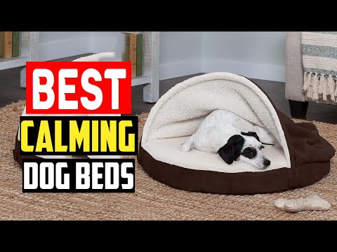 ✅Best Calming Dog Beds in 2023