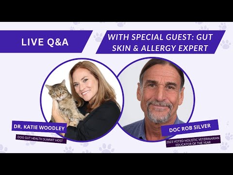 Dog Gut Health Summit Live Q&A Day 3