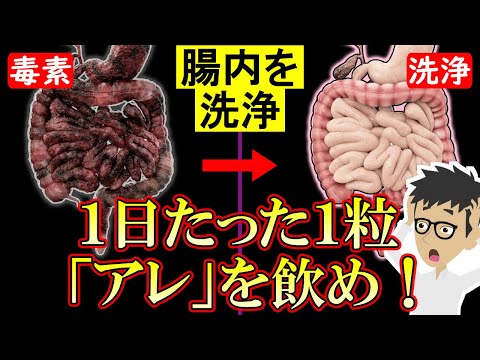 知らないとヤバイ！腸内環境を良くする方法TOP6！最新研究に基づいて徹底解説！